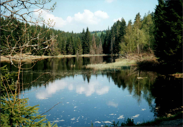 Sumava