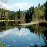Sumava