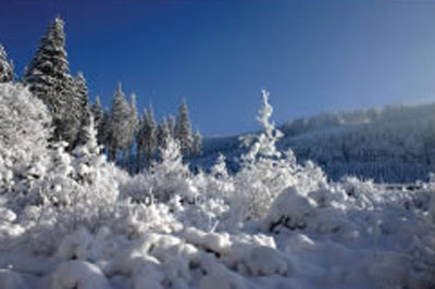 Family Holidays � the Beskydy Mountains