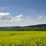 Family Holidays � Klenci pod Cerchovem