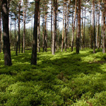 Family Holidays � Toulovec Stables